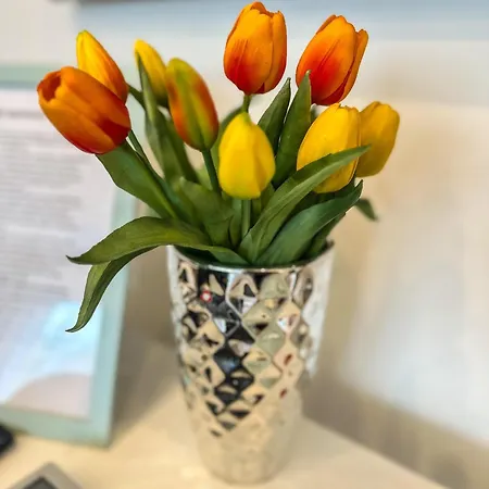 דירה Palace Apartman,t13, Ac, Klima Székesfehérvár