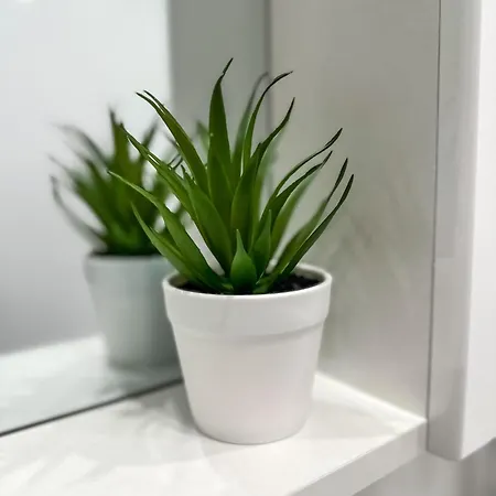 Palace Apartman,t13, Ac, Klima Apartment Székesfehérvár