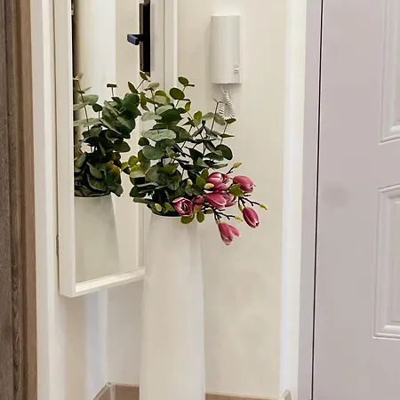 Palace Apartman,t13, Ac, Klima Apartment *