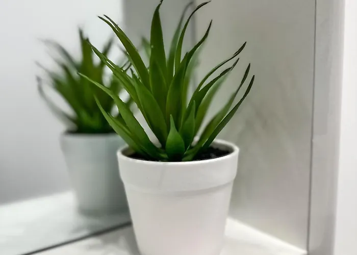 Palace Apartman,t13, Ac, Klima Appartamento Székesfehérvár