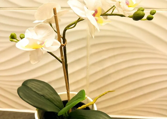 Appartamento Palace Apartman,t13, Ac, Klima Székesfehérvár